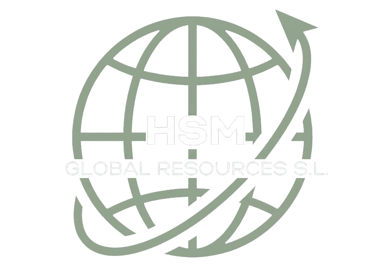 logo de website